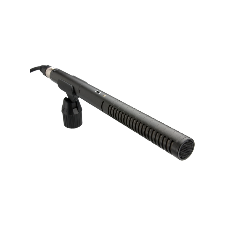 Microfono boom Rode Ntg2
